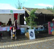 Resto bio 2